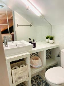 La salle de bains est pourvue d'un lavabo, de toilettes et d'un miroir. dans l'établissement CASA JACINTOS, à Tolède