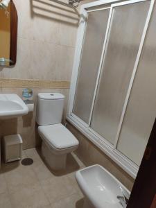 y baño con aseo, ducha y lavamanos. en Hotel Camagüey, en Gijón