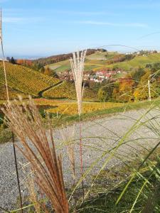 Blick auf einen Weinberg von einem Hügel mit einer Pflanze in der Unterkunft Weinstraßenapartment Fam. Dietrich in Ratsch an der Weinstraße