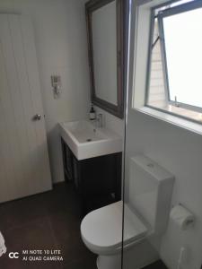 a bathroom with a white toilet and a sink at Castor Bay Homestay in Auckland