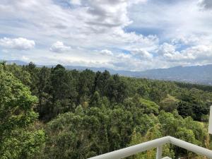 a view of a forest of trees from a balcony at Cozy apartment near to Costa Rica Airport in Heredia