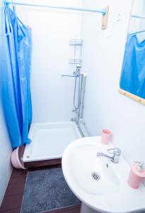 een badkamer met een wastafel, een douche en een toilet bij Ретритный центр "Дом Души" in Nieuw Athos