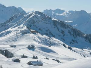 Haus Furka during the winter