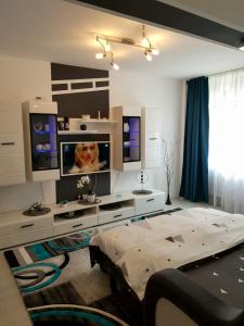 sala de estar con cama y TV en Apartament Sofy2, en Băile Herculane