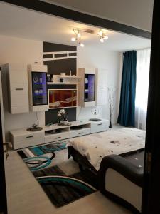 1 dormitorio con 1 cama y escritorio con 2 monitores en Apartament Sofy2, en Băile Herculane