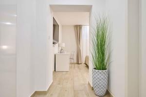 a hallway with a plant in a vase at Best location Rooms in Split