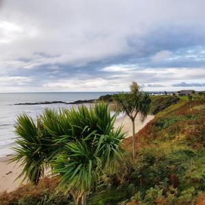 una playa con palmeras junto al océano en Ula Cottage en Saint Helens