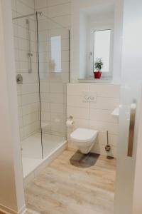 a bathroom with a toilet and a glass shower at Stadt Land Fluss first Apartments by Zollhaus in Forchheim