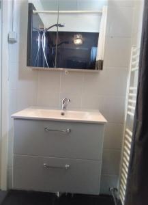 a bathroom with a sink and a mirror at Het Dobbertje, charmant houten huisje in Sint Maartensvlotbrug