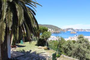 Gallery image of Agenzia Isotur Villa Olimpia in Ponza