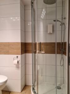 a shower with a glass door in a bathroom at AMBER APARTAMENT 1112 in Krakow