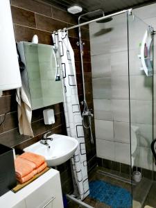 Vonios kambarys apgyvendinimo įstaigoje Mavrovo Forest Apartments