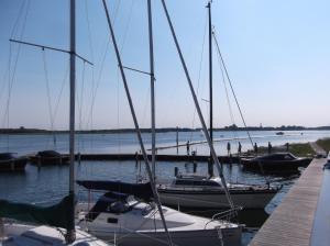Naturlandskabet i nærheden af lejligheden
