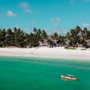 The African Paradise Beach Hotel في بويجو: قارب في الماء على شاطئ فيه نخيل