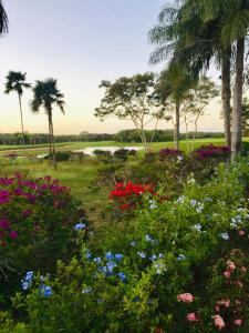 un campo de flores con palmeras y un cuerpo de agua en Los Corozos apartment M2, Guavaberry Golf & Country Club, en Juan Dolio