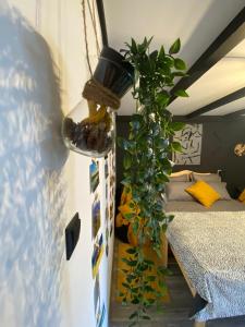 a bedroom with a plant hanging from the ceiling at Night Lotus in Hunedoara