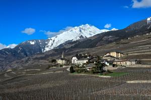 a village in a vineyard with a mountain in the background at Auberge Les Rangs in Conthey