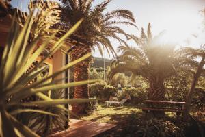 un jardin avec un banc, des palmiers et le soleil dans l'établissement Residence il Mandorlo, à Lacona