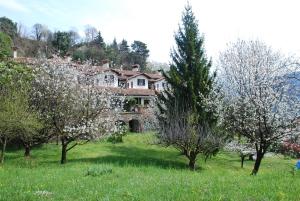 a large house in the middle of a field with trees at B&B Selve di Rogaro in Tremezzo