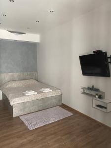 TV a/nebo společenská místnost v ubytování Apartments Jankovic