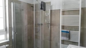 a shower with a glass door in a bathroom at Forsthaus Wegenerskopf in Thale