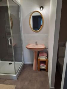 a bathroom with a sink and a shower at La Grange aux dames in Geville