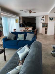 Breathtaking Oceana Del Mar في روزاريتو: أريكة زرقاء في غرفة المعيشة مع كلب يستلقي عليها