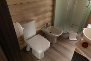a bathroom with a toilet and a sink at Family Wood in Svityazʼ +38 photos