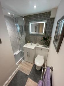 ein Bad mit einer Dusche, einem WC und einem Waschbecken in der Unterkunft Dancy Mews Over 30's Only apartment in Tavistock