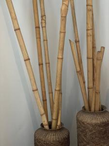 two vases filled with bamboo sticks in a wall at Hotel Valeria Apart & Hotel Spa in Valeria del Mar