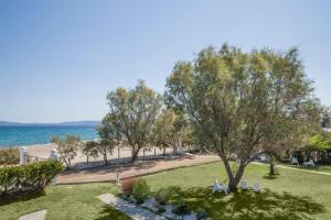 a park with a tree and the beach at Villa Papapostolou in Ierissos