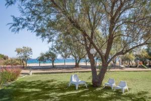 Gallery image of Villa Papapostolou in Ierissos