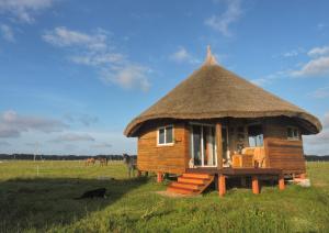 a small hut with a thatched roof in a field at Los Chajá Ecolodge in Barra de Valizas