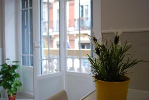 una planta en una olla amarilla delante de una ventana en Hostal Madrid Star, en Madrid