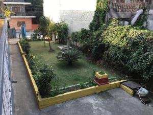 Un jardín fuera de Pushpa Guest House