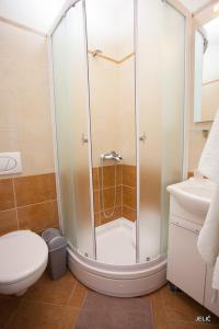 a bathroom with a shower and a toilet at APARTMAN SUNCE in Baška Voda