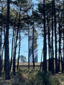 Naturlandschaft in der Nähe des Ferienparks