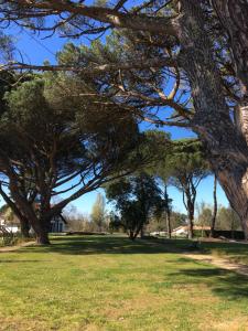 Ein Garten an der Unterkunft Villa OCELANDES