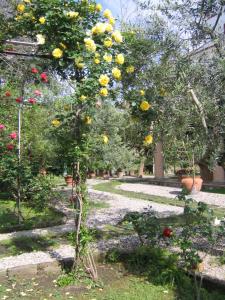 Ogród w obiekcie Suite Lidia B&B