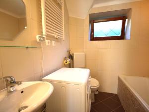 オッシアッハにあるHoliday Home Sonnhaus by Interhomeのバスルーム(洗面台、トイレ付)、窓が備わります。
