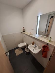 a bathroom with a sink and a toilet and a mirror at Ferienwohnungen Im Grund 22, 22a, 22c Birkenstein in Hoppegarten +52 photos