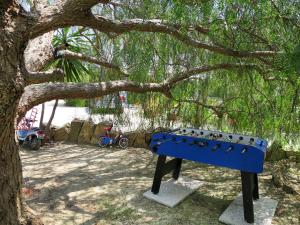 PoggiにあるApartment Angela - PGI126 by Interhomeの鳥の木の下の青いベンチ
