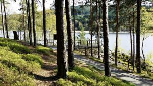 Príroda v okolí apartmánu