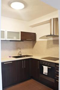 Kuchyňa alebo kuchynka v ubytovaní Apartmán Lipno 50