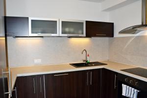 Kuchyňa alebo kuchynka v ubytovaní Apartmán Lipno 50