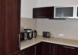 Kuchyňa alebo kuchynka v ubytovaní Apartmán Lipno 50