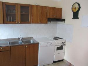 Kuchyň nebo kuchyňský kout v ubytování Apartments Marijana