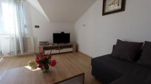 TV a/nebo společenská místnost v ubytování Apartments Marijana
