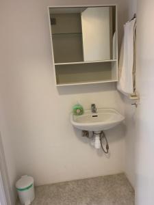 W łazience znajduje się umywalka i lustro. w obiekcie Anne's Home Sønderbro w mieście Horsens