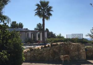 リド・マリーニにあるVilla panoramica con piscinaのギャラリーの写真